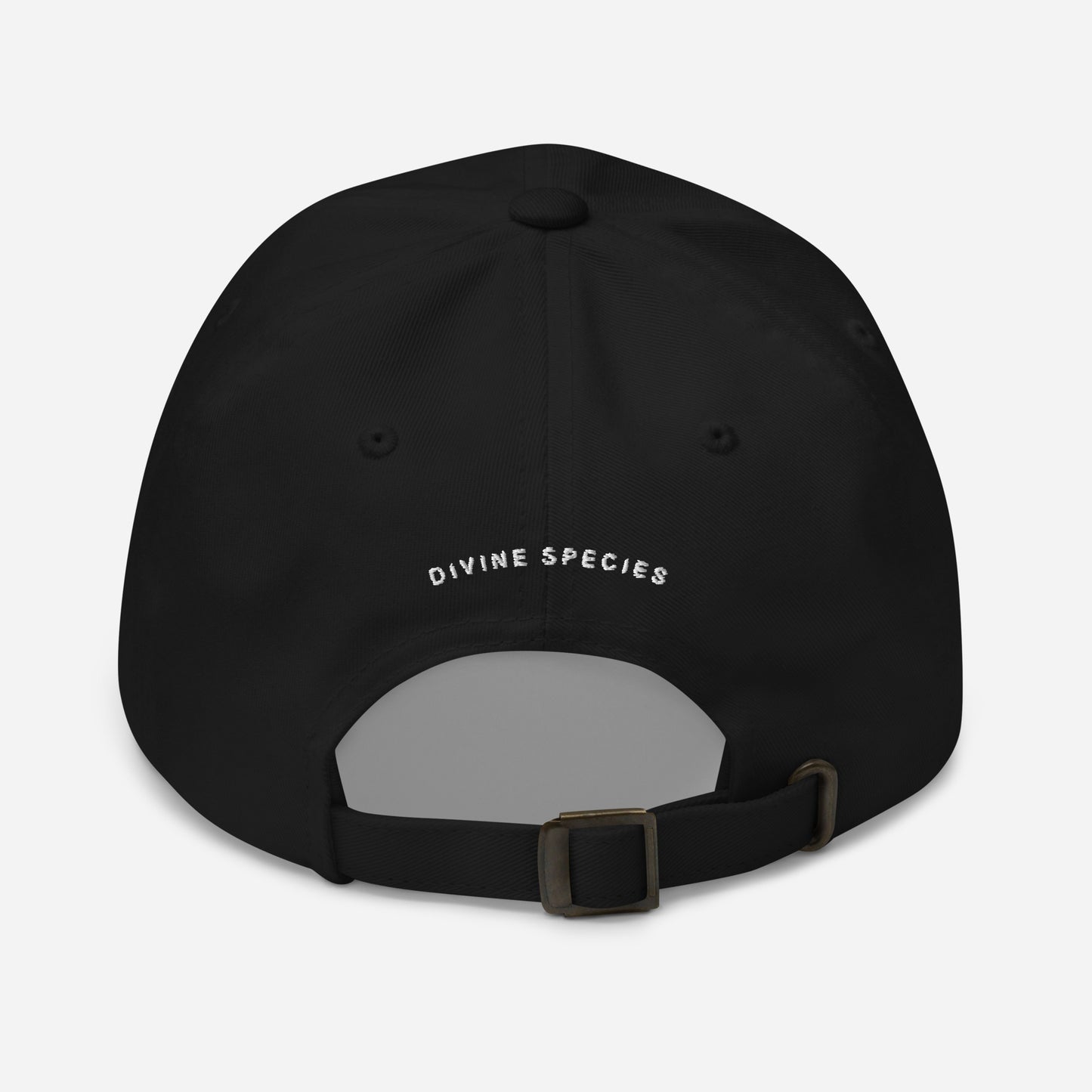 DS Dad hat