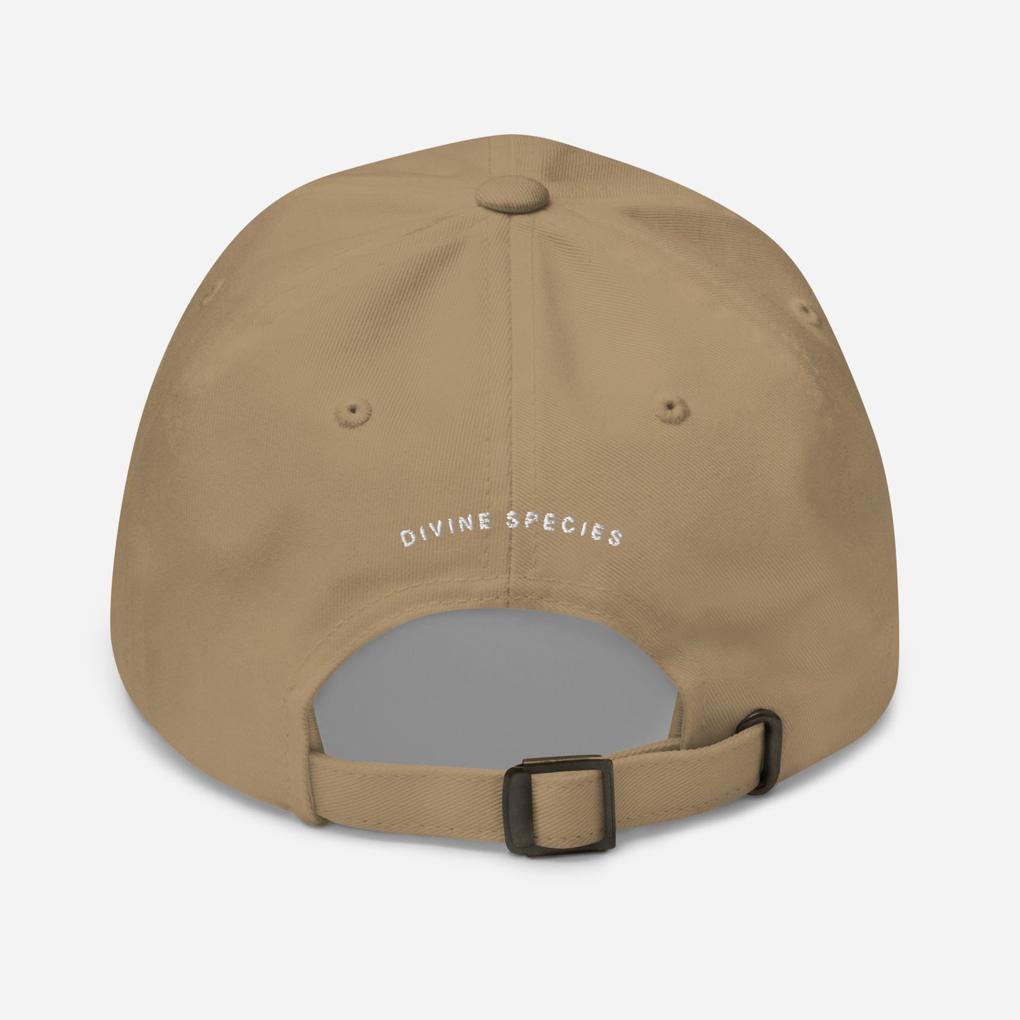 DS Dad hat