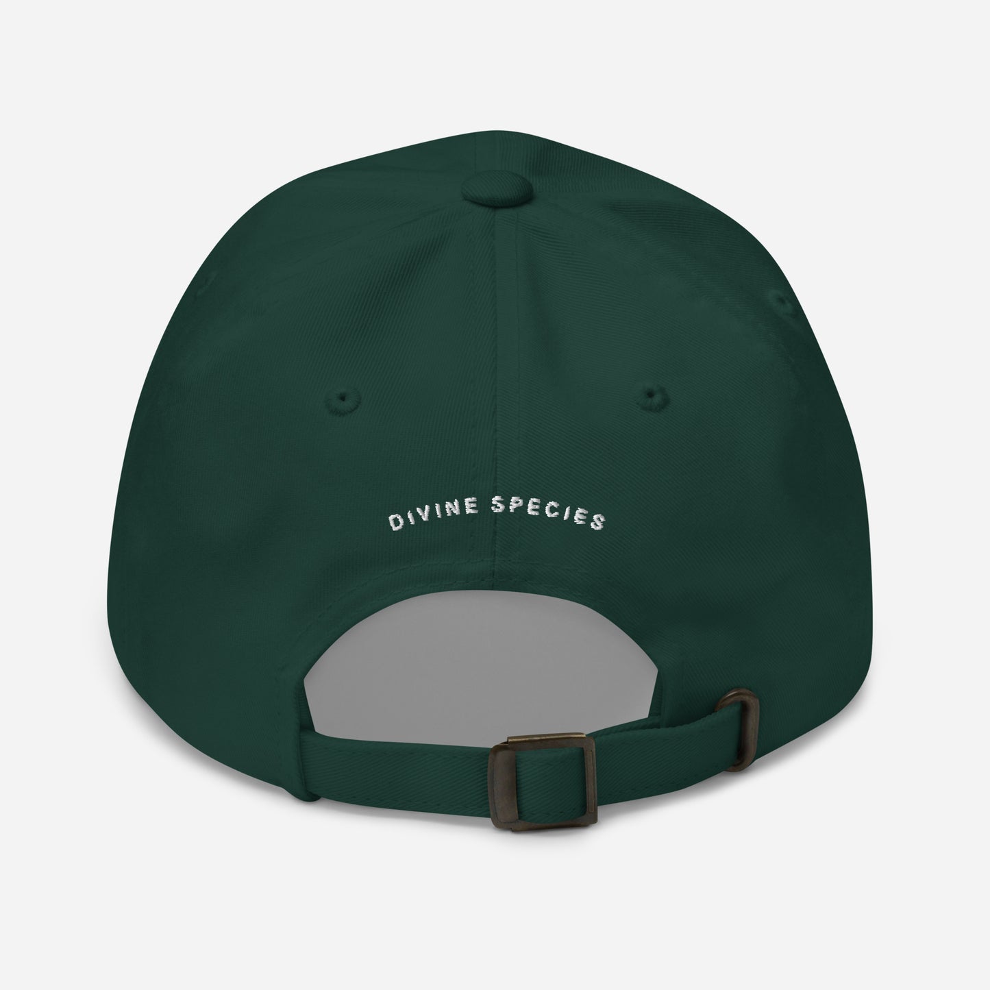 DS Dad hat