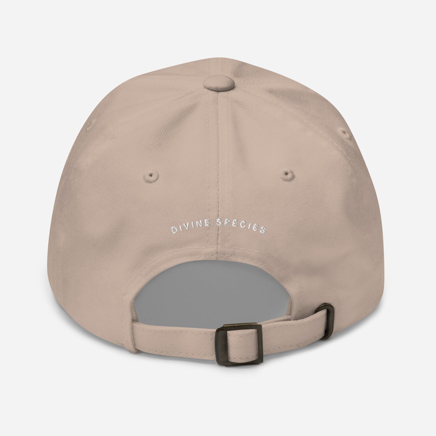 DS Dad hat